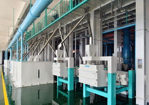 東方集團現代農業板塊加速新米生產，東方糧倉方正園區全力沖刺旺季